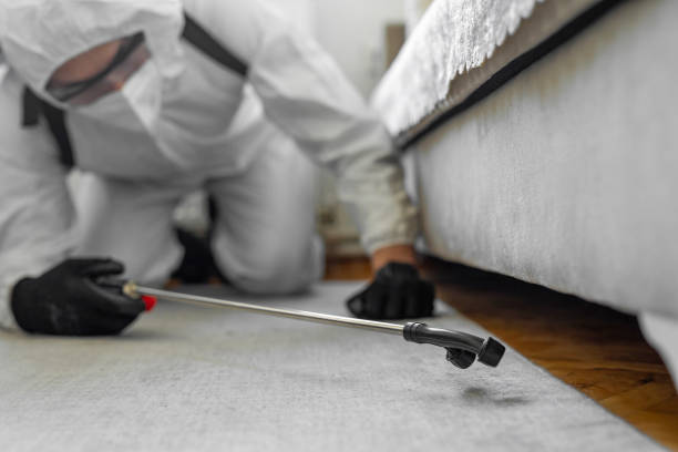 Professional Bed Bug Control technician working in Keaau, HI