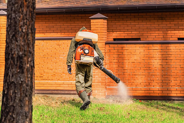 Trusted Cockroach Control service in Keaau, HI - Nex Pest Control
